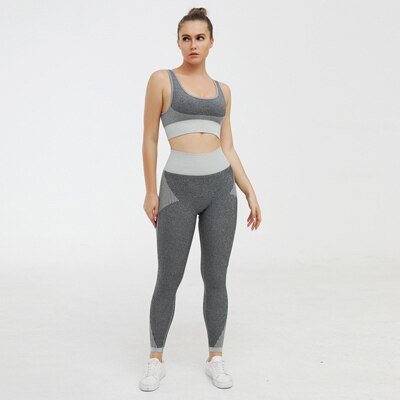 Women Yoga Set Seamless Fitness Clothing 2 Piece Gym Set Women Sport Set Workout Clothes For Women Sports Bra And Leggings Women